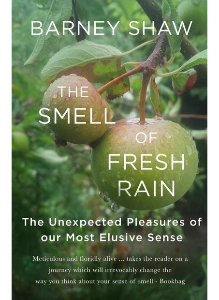 The Smell of Fresh Rain