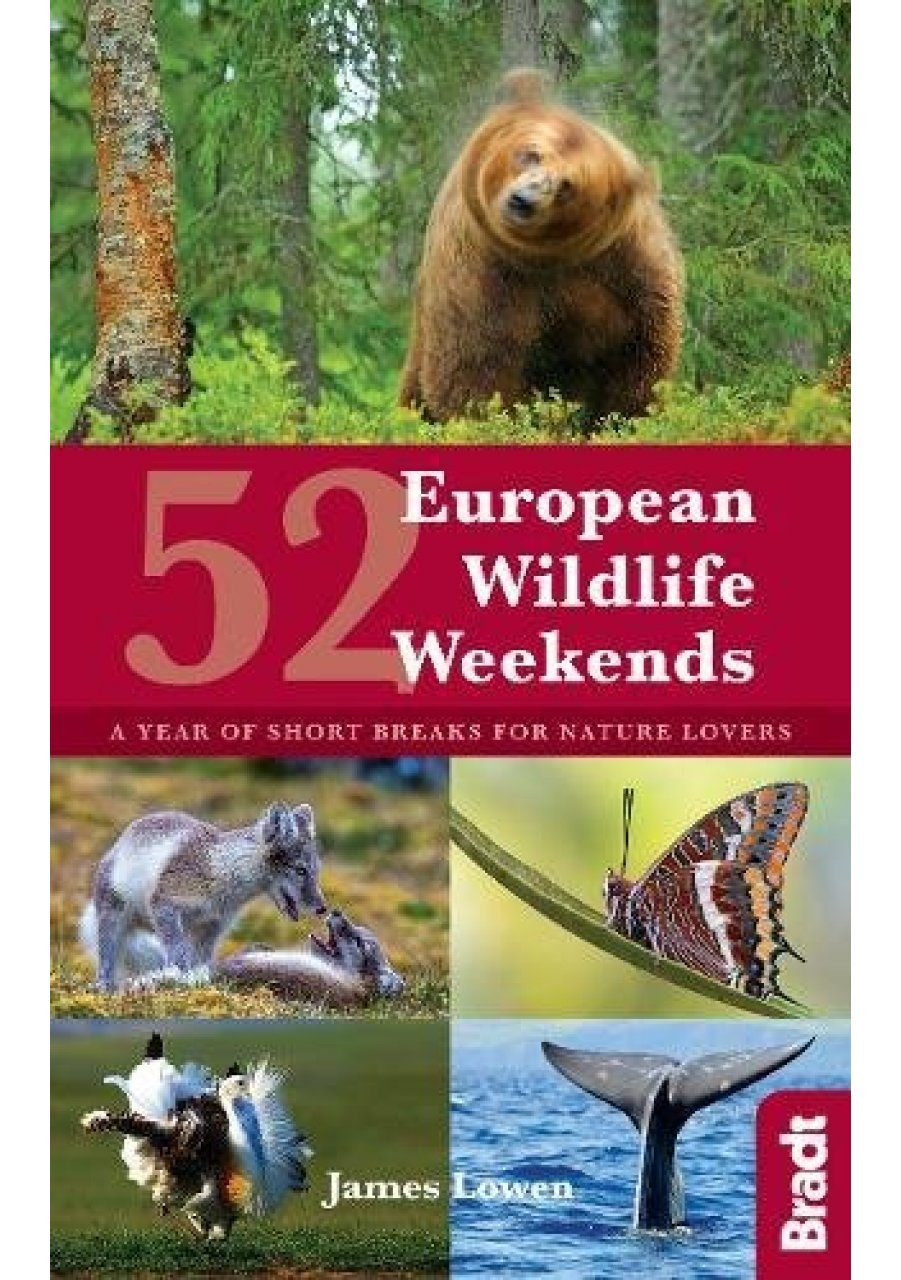52 European Wildlife Weekends A Year Of Short Breaks For