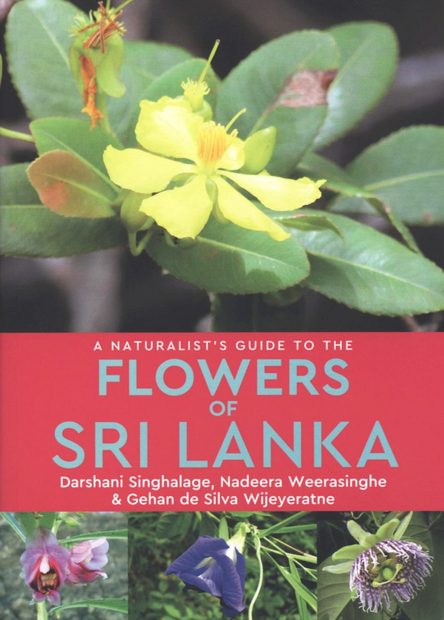 A Naturalist’s Guide to the Flowers of Sri Lanka
