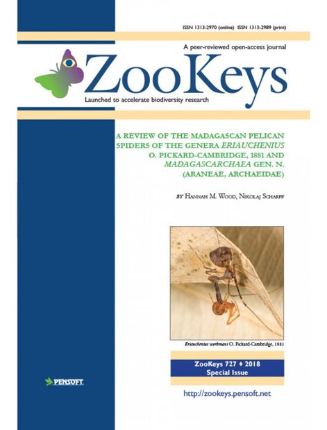 ZooKeys 727: A Review of the Madagascan Pelican Spiders of the Genera Eriauchenius O. Pickard- Cambridge, 1881 and Madagascarchaea gen. n. (Araneae, Archaeidae)