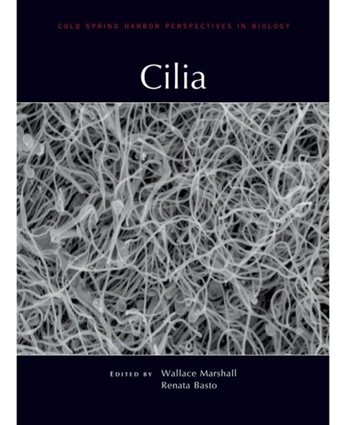 Cilia