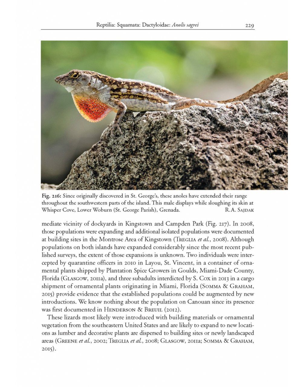 Amphibians And Reptiles Of The St Vincent And Grenada