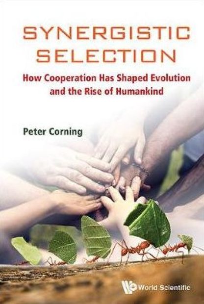 Synergistic Selection