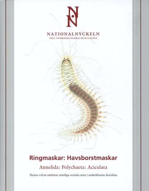 The Encyclopedia of the Swedish Flora and Fauna, Ringmaskar: Havsborstmaskar [Swedish]
