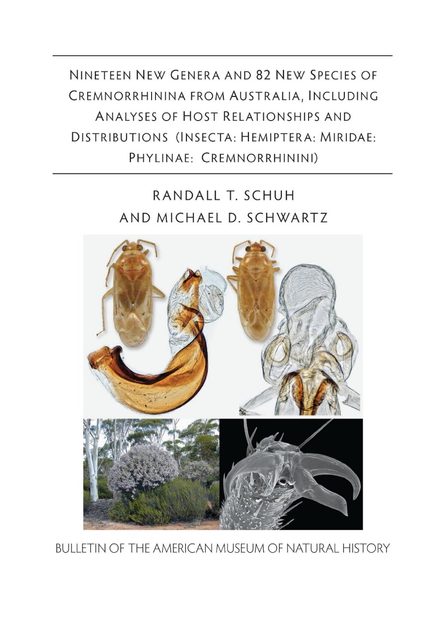 Nineteen New Genera and 82 New Species of Cremnorrhinina from Australia, Including Analyses of Host Relationships and Distributions (Insecta: Hemiptera: Miridae: Phylinae: Cremnorrhinini)