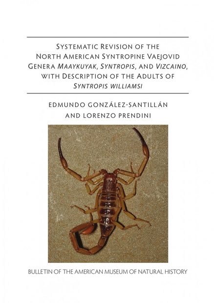 Revision of the North American Syntropine Vaejovid Scorpion Genera Maaykuyak, Syntropis, and Vizcaino, with Description of the Adults of Syntropis williamsi