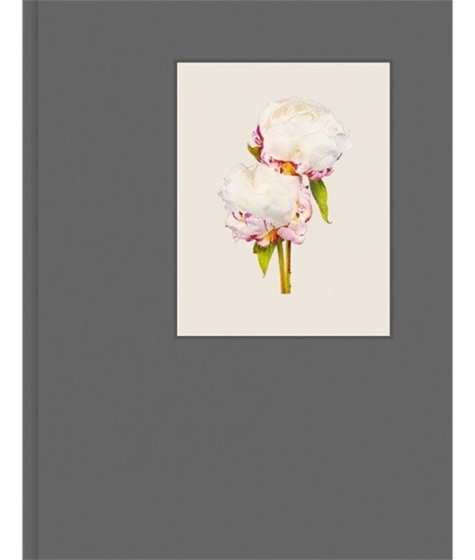 The Most Beautiful Flowers