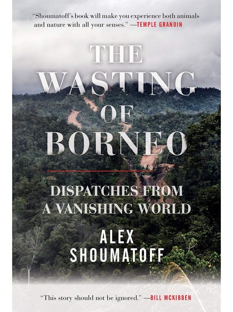 The Wasting of Borneo