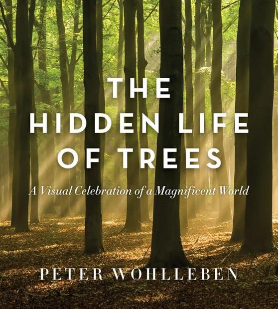 The Hidden Life of Trees