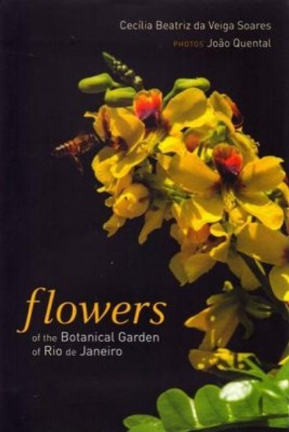 Flowers of the Botanical Garden of Rio de Janeiro