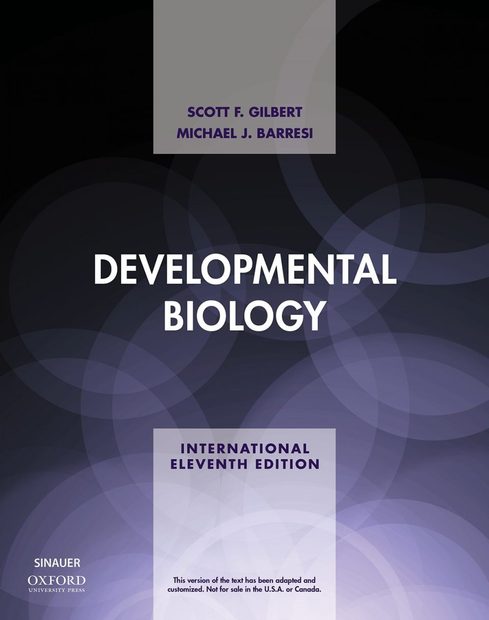 Developmental Biology (International Edition)