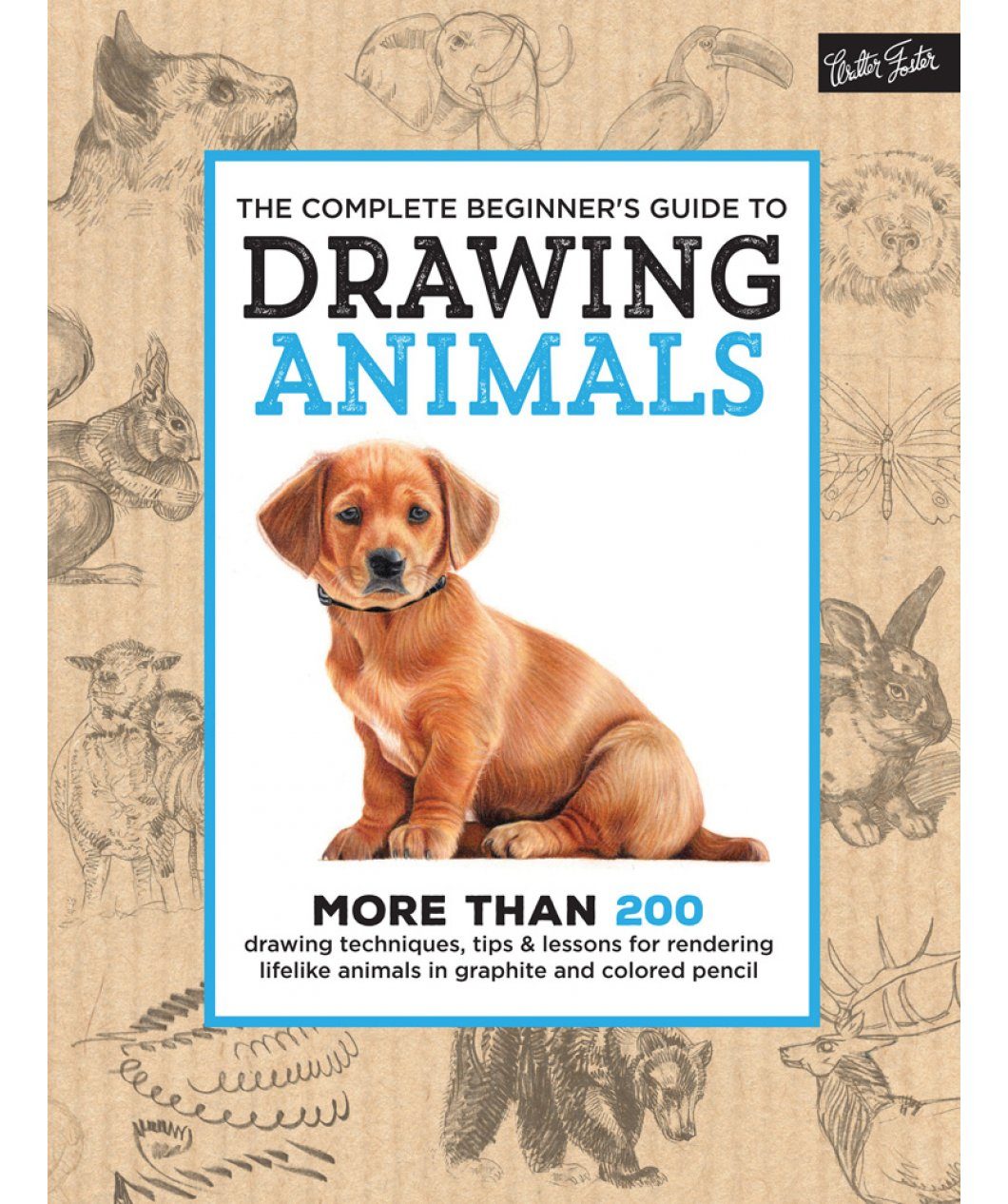 The Complete Beginner's Guide to Drawing Animals | NHBS Academic &  Professional Books