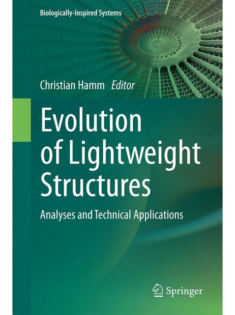 Evolution of Lightweight Structures
