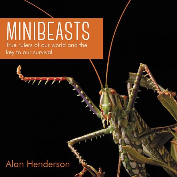 Minibeasts