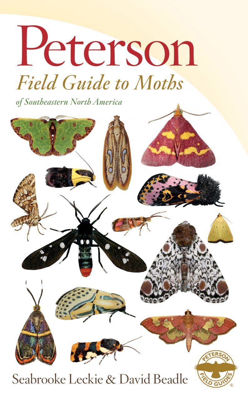 Peterson Field Guide To Moths Of Southeastern North