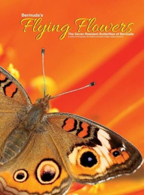 Bermuda's Flying Flowers