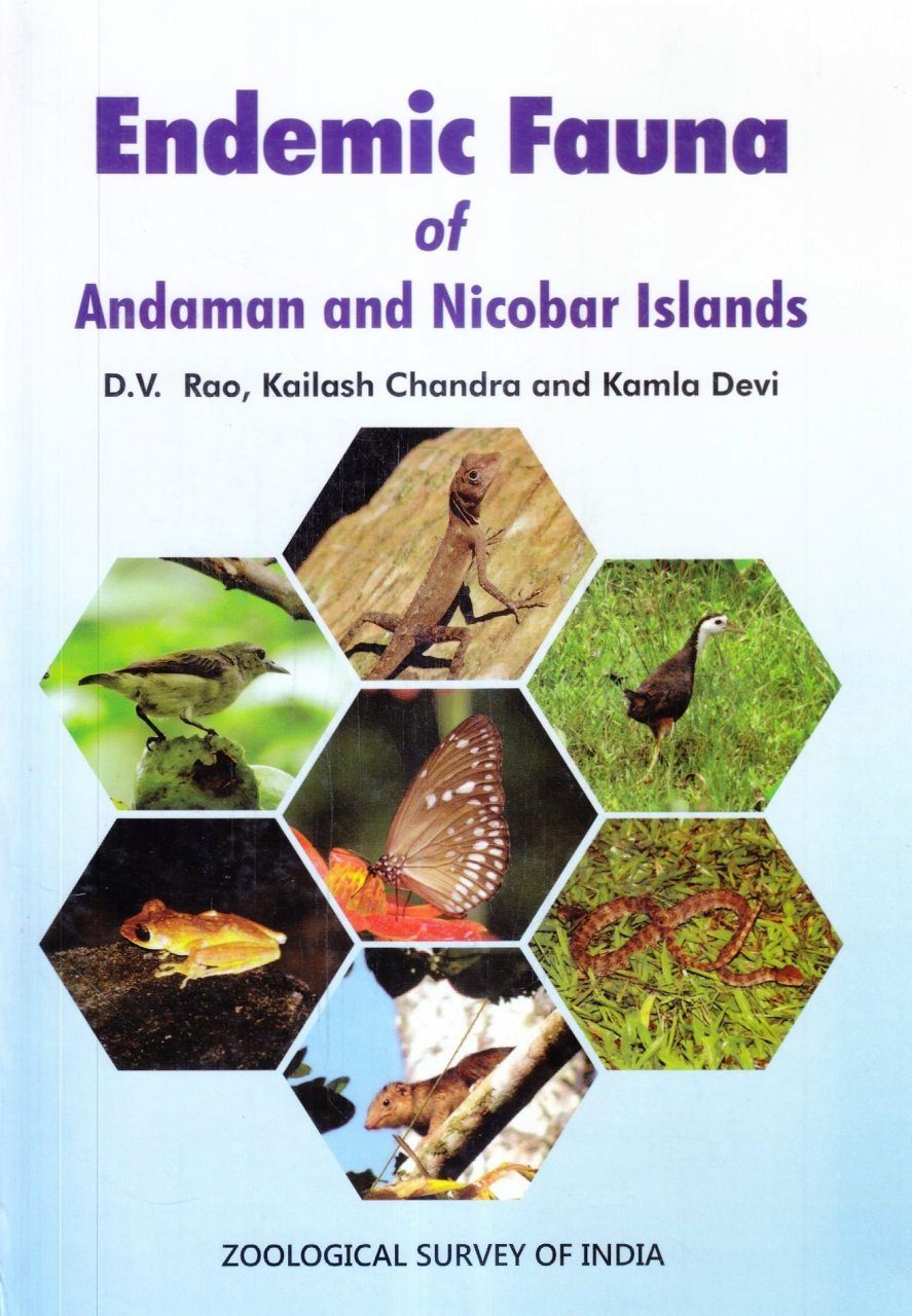 Endemic Fauna of Andaman and Nicobar Islands | NHBS Academic & Professional  Books