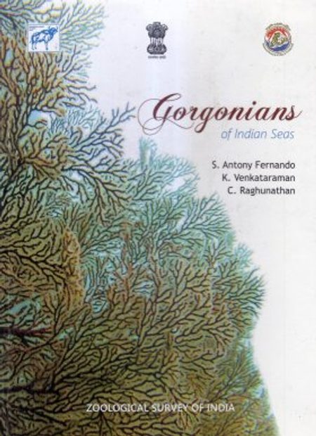 Gorgonians of Indian Seas