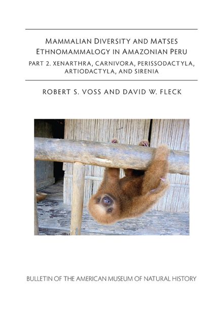 Mammalian Diversity and Matses Ethnomammalogy in Amazonian Peru, Part 2: Xenarthra, Carnivora, Perissodactyla, Artiodactyla, and Sirenia