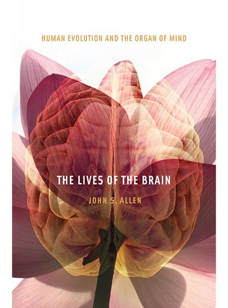 The Lives of the Brain