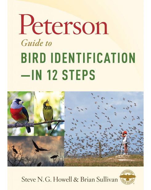 Peterson Guide to Bird Identification – in 12 Steps