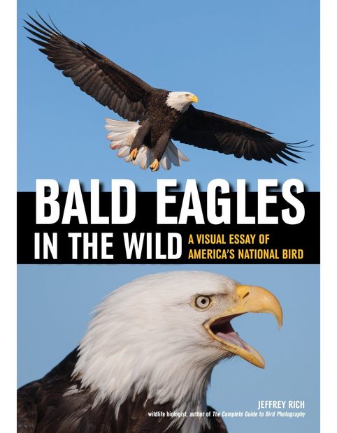 Bald Eagles In The Wild