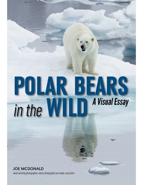 Polar Bears In The Wild