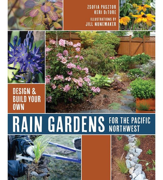 Rain Gardens for the Pacific Northwest