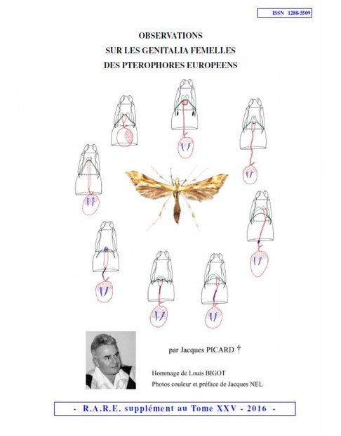 Observations sur les Genitalia Femelles des Ptérophores Européens [Observations on Female Genitalia of European Plume Moths]