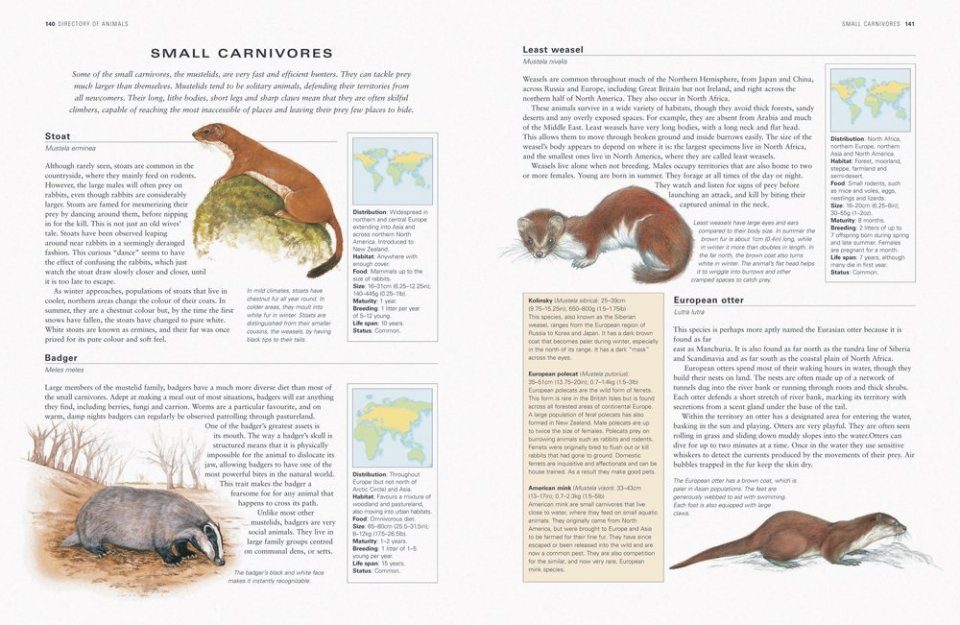 The Complete Illustrated Guide to of Animals, Birds & Fish of the British  Isles | NHBS Field Guides & Natural History