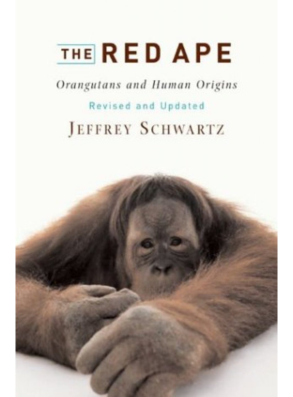 The Red Ape Orangutans And Human Origins Nhbs Academic And Professional Books 2650