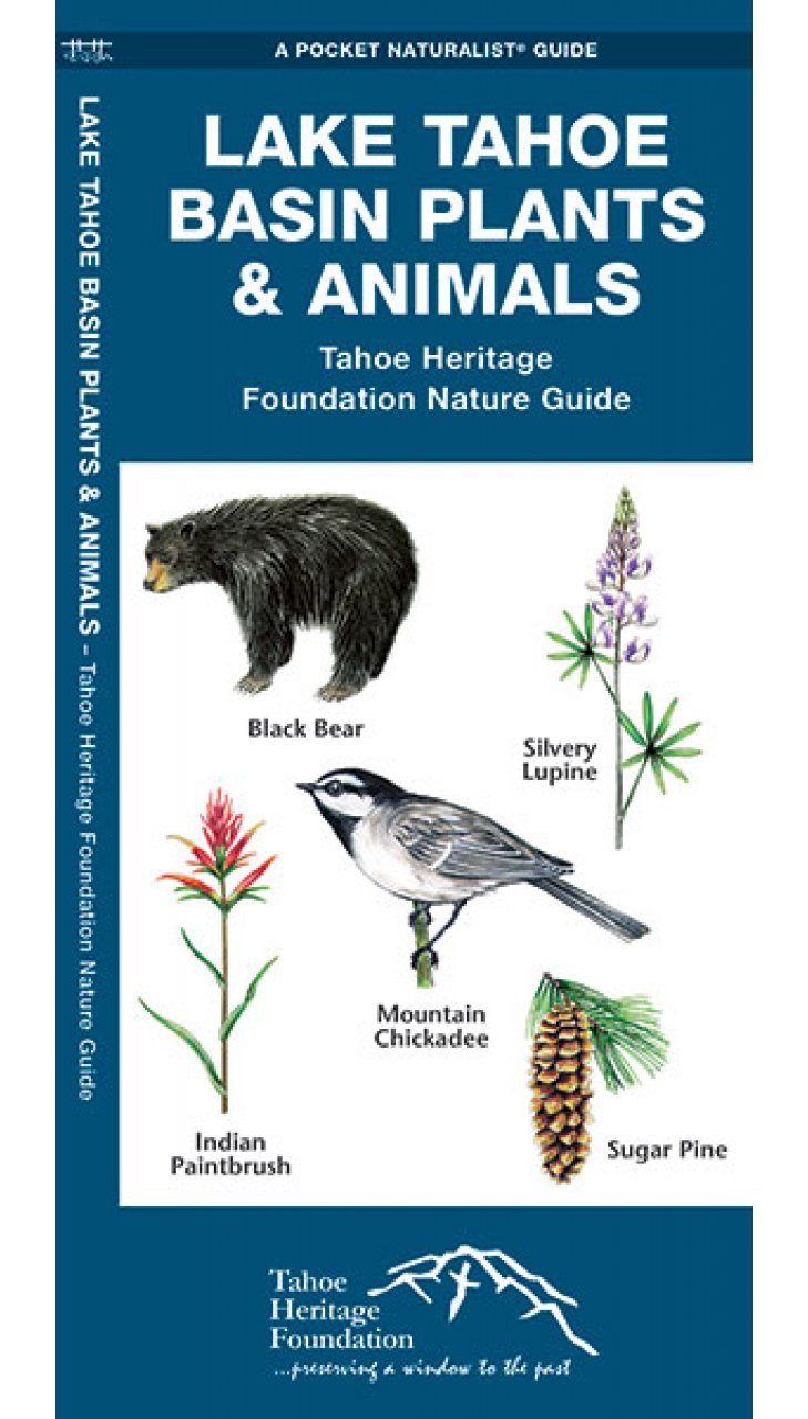 Lake Tahoe Basin Plants & Animals: Tahoe Heritage Foundation Nature Guide |  NHBS Academic & Professional Books
