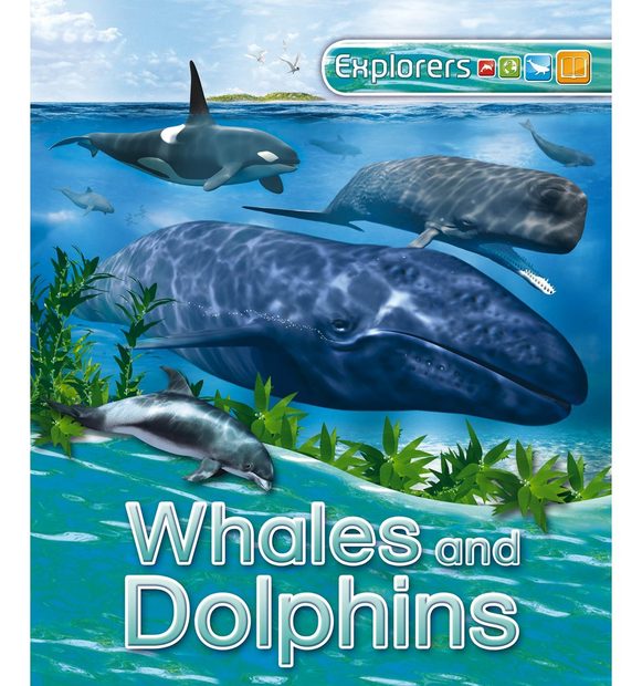 Explorers: Whales and Dolphins