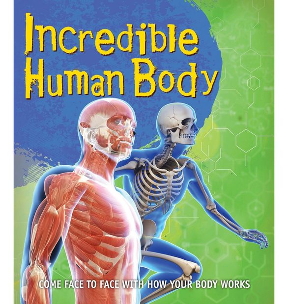 Incredible Human Body: Come Face to Face with How Your Body Works ...