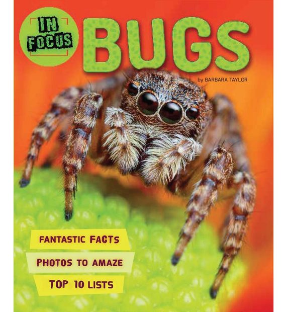 In Focus: Bugs