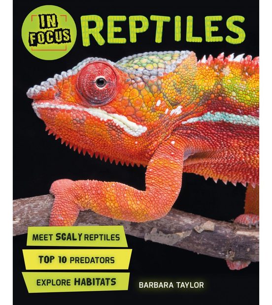 In Focus: Reptiles
