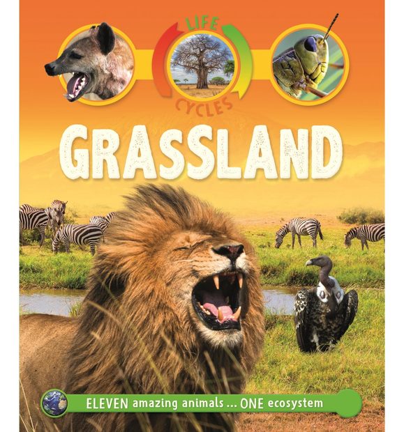 Life Cycles: Grassland