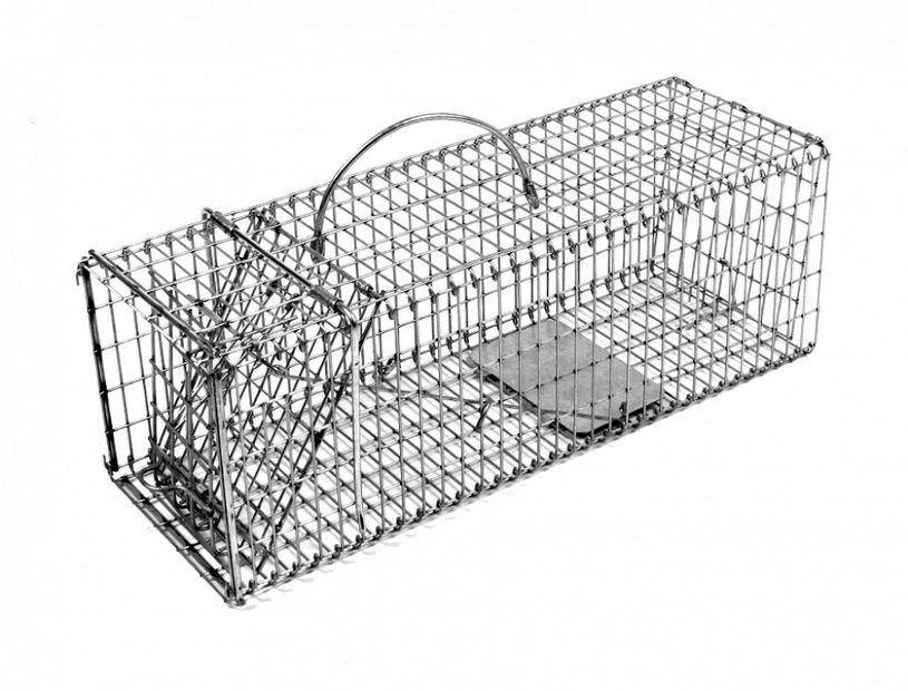 Tomahawk Collapsible Live Traps