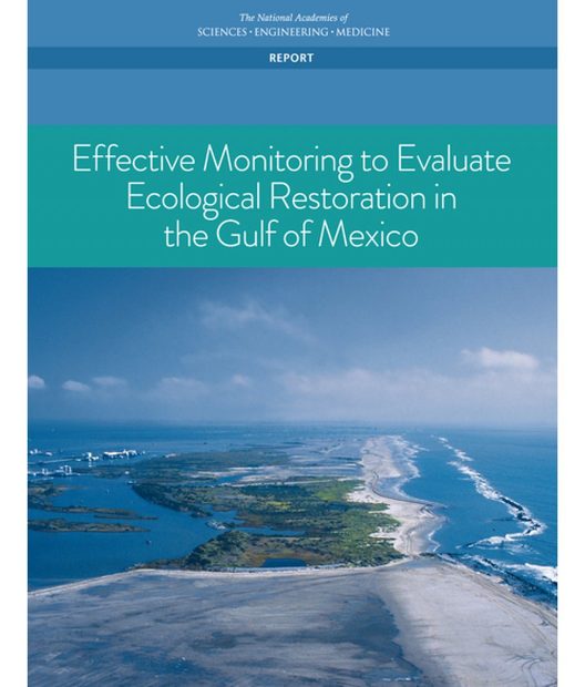 Effective Monitoring to Evaluate Ecological Restoration in the Gulf of Mexico