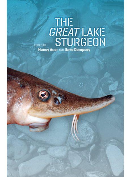 The Great Lake Sturgeon