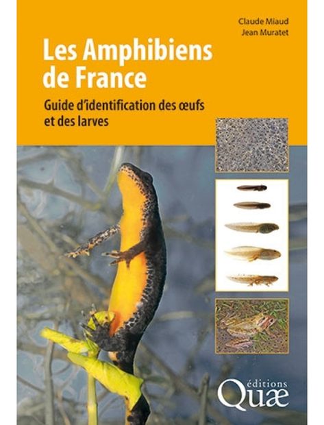 Les Amphibiens de France: Guide d'Identification des Œufs et des Larves [The Amphibians of France: Identification Guide to Eggs and Larvae]