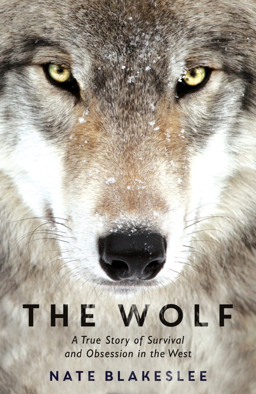 The Wolf: A True Story of Survival and Obsession in the West | NHBS ...