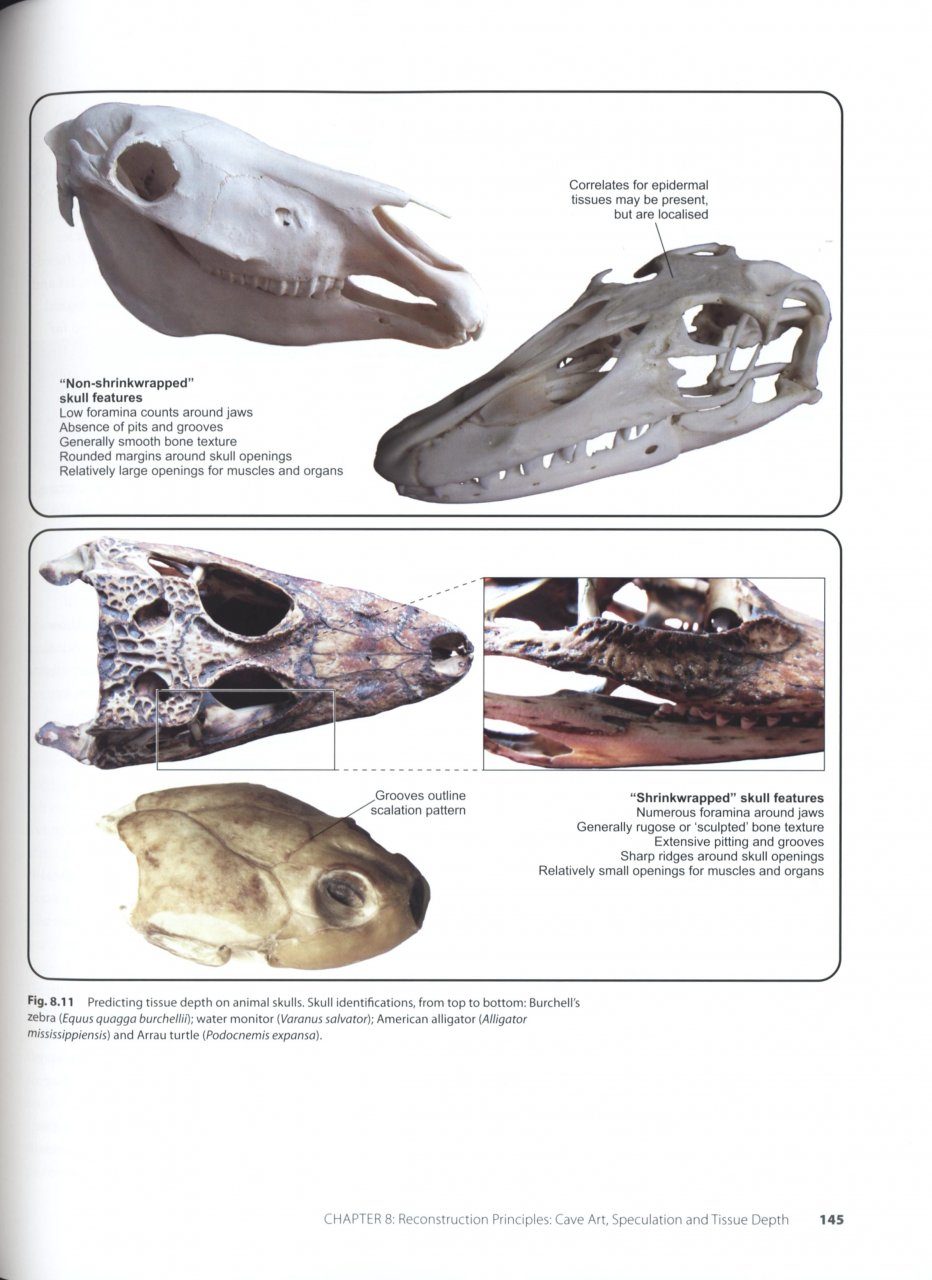 The Palaeoartist's Handbook: Recreating Prehistoric Animals in Art | NHBS  Academic & Professional Books