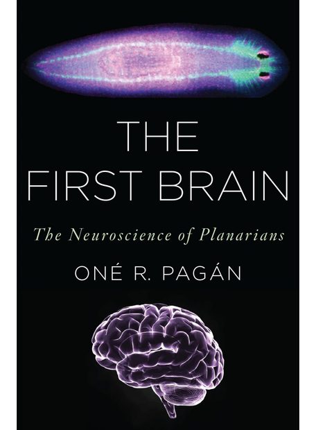 The First Brain