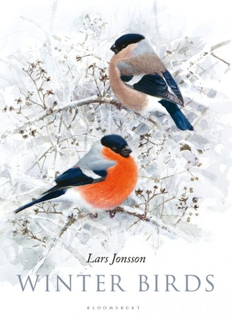 Winter Birds