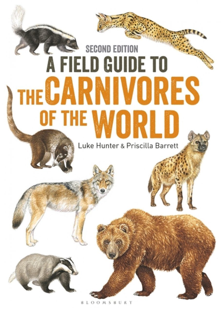 A Field Guide To The Carnivores Of The World Luke Hunter