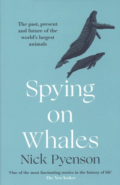 Spying on Whales