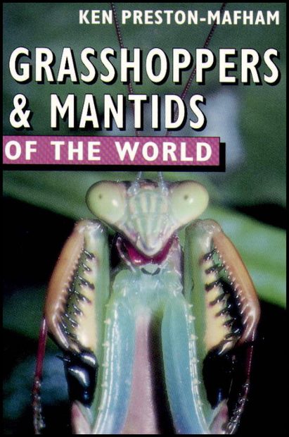 Grasshoppers and Mantids of the World