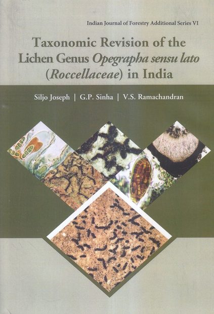 Taxonomic Revision of the Lichen Genus Opegrapha Sensu Lato (Roccellaceae) in India