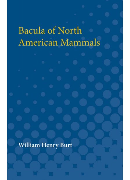 Bacula of North American Mammals